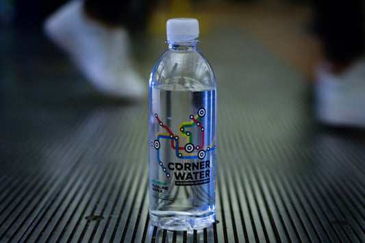 Regular - 16.9oz