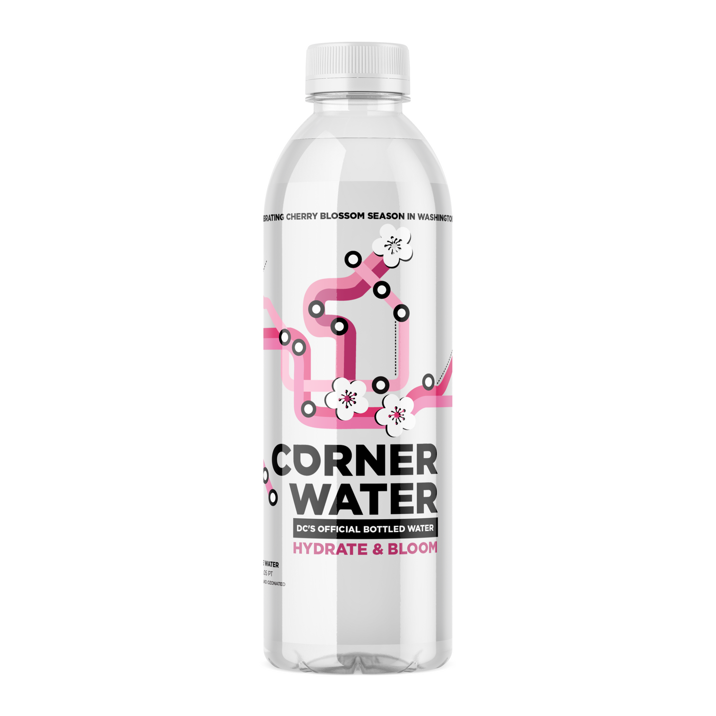 Cherry Blossom Limited Edition